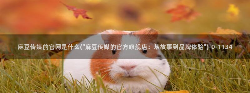 麻豆影映传媒官网：麻豆传媒的官网是什么(\