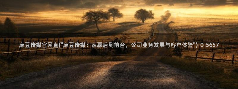 麻豆传媒官网版：麻豆传媒官网直(\