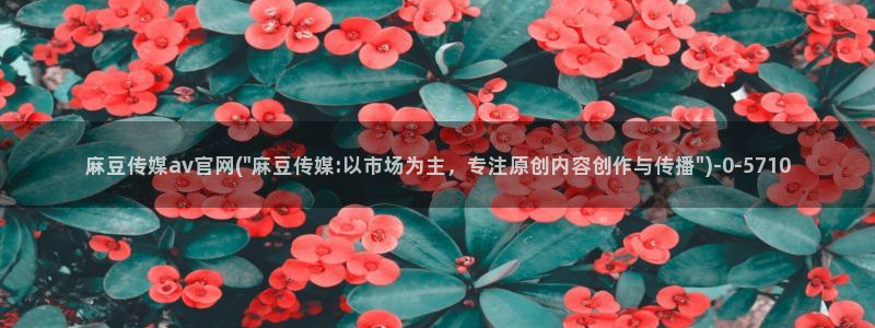 麻豆传媒官网是多少：麻豆传媒av官网(\