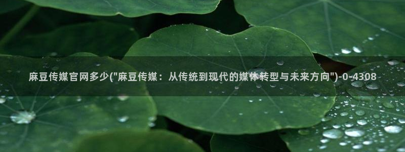 麻豆传媒app官网成人：麻豆传媒官网多少(\