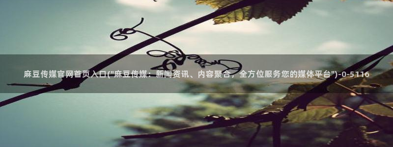 麻豆传媒文化官网：麻豆传媒官网首页入口(\