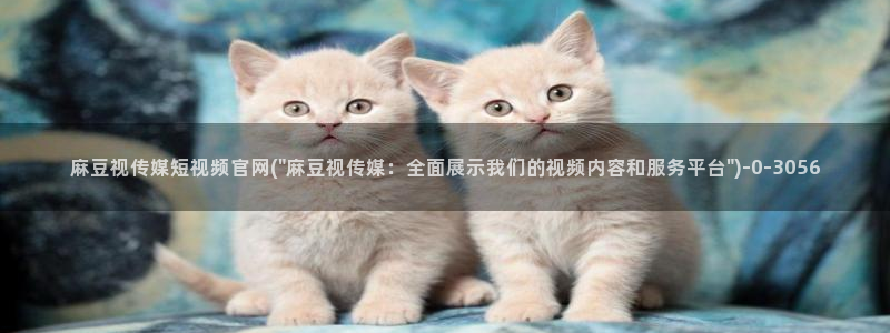 麻豆传媒官网女艺人：麻豆视传媒短视频官网(\