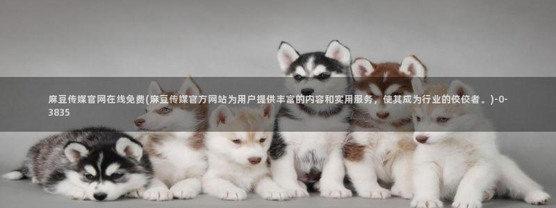 麻豆传媒官网app污：麻豆传媒官网在线免费(麻豆传媒官方网站为用户提供丰富的内容和实用服务，使其成为行业的佼佼者。)