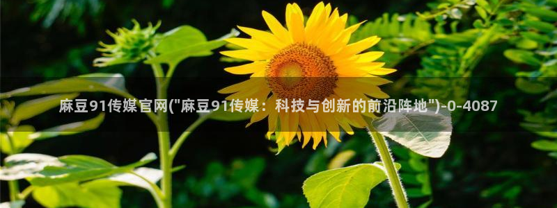 .pud 麻豆传媒官网：麻豆91传媒官网(\