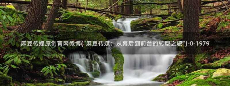 麻豆日记传媒官网：麻豆传媒原创官网微博(\