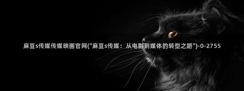 91麻豆传媒官网是：麻豆s传媒传媒映画官网(\