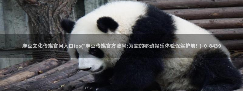 麻豆传媒app官网黄：麻豆文化传媒官网入口ios(\