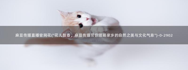 麻豆传媒视频在线官网：麻豆传媒直播官网花(\