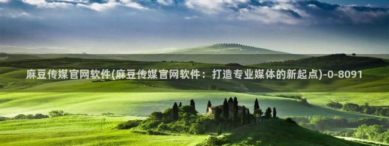 麻豆穿传媒官网：麻豆传媒官网软件(麻豆传媒官网软件：打造专业媒体的新起点)