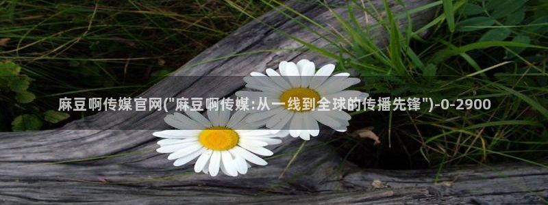 麻豆传媒漫画官网：麻豆啊传媒官网(\
