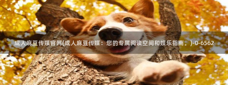 md mup 麻豆传媒官网：成人麻豆传媒官网(成人麻豆传媒：您的专属阅读空间和娱乐指南。)