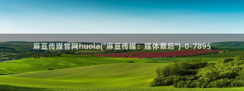 国货之光麻豆传媒官网：麻豆传媒官网huola(\