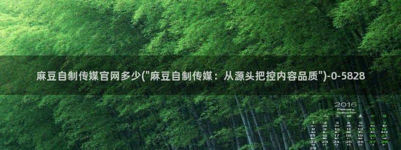 麻豆文化传媒 官网：麻豆自制传媒官网多少(\