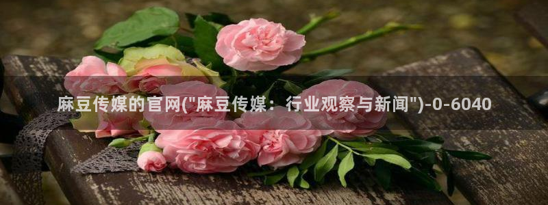 麻豆村麻豆官网传媒：麻豆传媒的官网(\